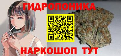apvp Ирбит