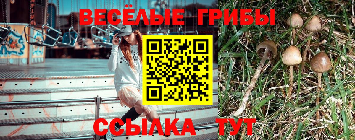 наркошоп  Галлюциногенные грибы прущие грибы  Вход с VPN  Галлюциногенные грибы Magic Shrooms  Сатка 